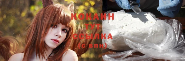 прущая мука Няндома