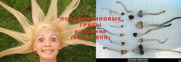 тгк Нязепетровск