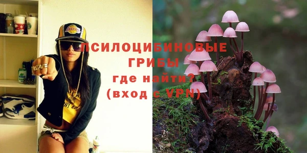 прущая мука Няндома